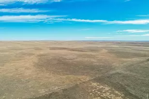 Cr 104, Nunn, CO 80648 - Photo 7