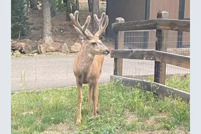 28 Valley View Ln, Evergreen, CO 80439 - Photo 37