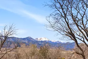 321 Graceland Grove, Colorado Springs, CO 80904 - Photo 33