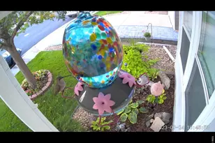 10450 Lower Ridge Rd, Longmont, CO 80504 - Photo 33
