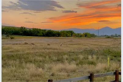 602 Charles St, Superior, CO 80027 - Photo 27