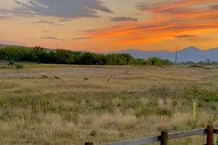 602 Charles St, Superior, CO 80027 - Photo 27