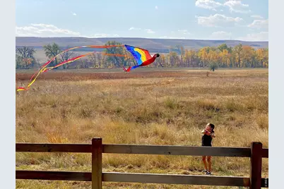 602 Charles St, Superior, CO 80027 - Photo 47