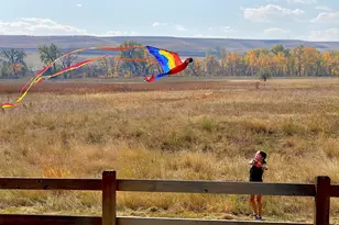 602 Charles St, Superior, CO 80027 - Photo 47