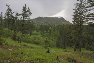 14884 Rist Canyon Rd, Bellvue, CO 80512 - Photo 33