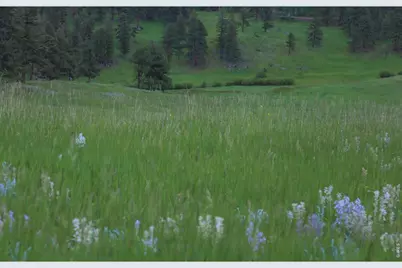 14884 Rist Canyon Rd, Bellvue, CO 80512 - Photo 41
