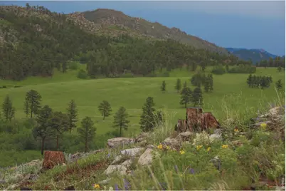 14884 Rist Canyon Rd, Bellvue, CO 80512 - Photo 43