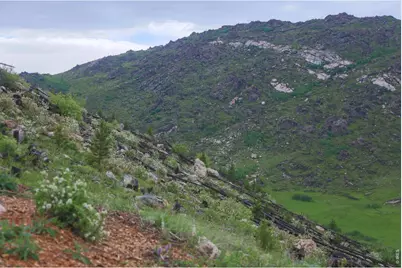 14884 Rist Canyon Rd, Bellvue, CO 80512 - Photo 47