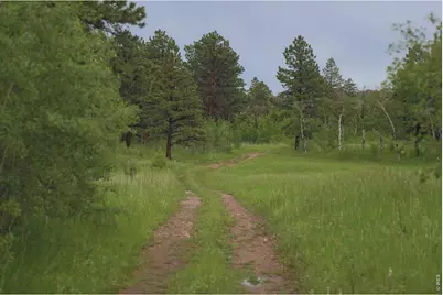 14884 Rist Canyon Rd, Bellvue, CO 80512 - Photo 39