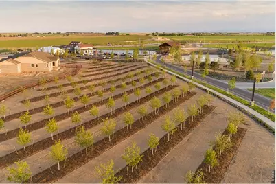 1956 Blossom Grove Dr, Windsor, CO 80550 - Photo 7