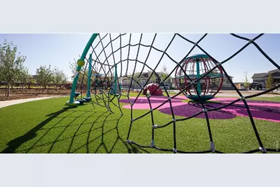 1956 Blossom Grove Dr, Windsor, CO 80550 - Photo 9