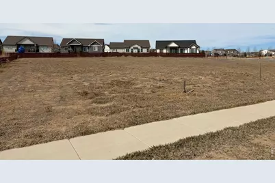 1956 Blossom Grove Dr, Windsor, CO 80550 - Photo 3