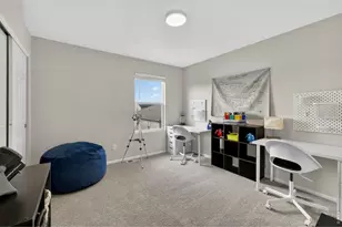 3657 Daylily St, Wellington, CO 80549 - Photo 25