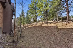 643 Park River Pl, Estes Park, CO 80517 - Photo 33