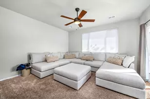 368 Mount Bross Ave, Severance, CO 80550 - Photo 15