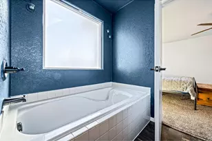 368 Mount Bross Ave, Severance, CO 80550 - Photo 25