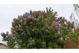 1786 Wintergreen Pl, Loveland, CO 80537 - Photo 27