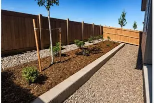 1454 Boyle St, Windsor, CO 80550 - Photo 23