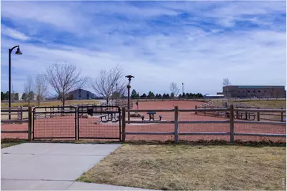 3387 Firewater Ln, Wellington, CO 80549 - Photo 37