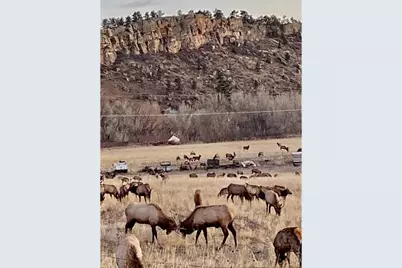 7239 W County Road 24, Loveland, CO 80538 - Photo 35