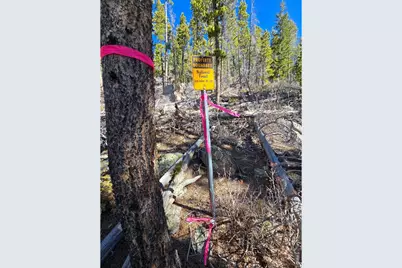 660 Jicarilla Trl, Red Feather Lakes, CO 80545 - Photo 29