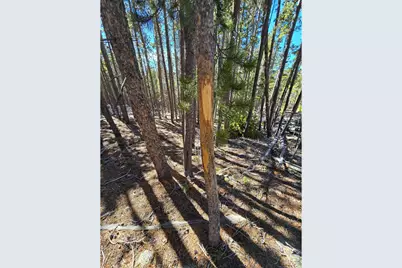 660 Jicarilla Trl, Red Feather Lakes, CO 80545 - Photo 31