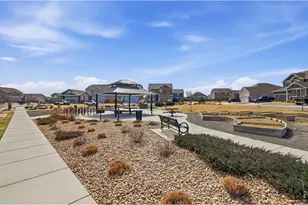 16736 Chilton Dr, Mead, CO 80542 - Photo 45