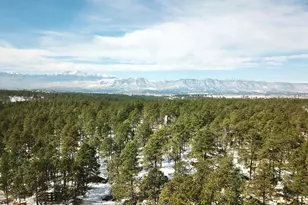 4395 Leprechaun Ln, Colorado Springs, CO 80908 - Photo 31