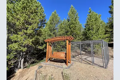 125 Penobscot Ct, Red Feather Lakes, CO 80545 - Photo 7