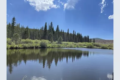 125 Penobscot Ct, Red Feather Lakes, CO 80545 - Photo 31