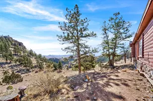 39 Mt Sherman Ct, Livermore, CO 80536 - Photo 37