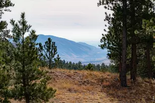 440 La Hermosa Dr, Bellvue, CO 80512 - Photo 41