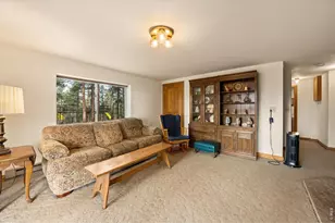 440 La Hermosa Dr, Bellvue, CO 80512 - Photo 31