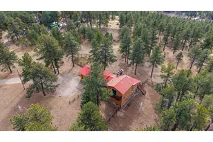 440 La Hermosa Dr, Bellvue, CO 80512 - Photo 49