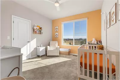 5043 Oakley Dr, Timnath, CO 80547 - Photo 25