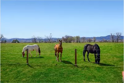 560 Talons Reach Run, Berthoud, CO 80513 - Photo 35