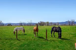 560 Talons Reach Run, Berthoud, CO 80513 - Photo 35