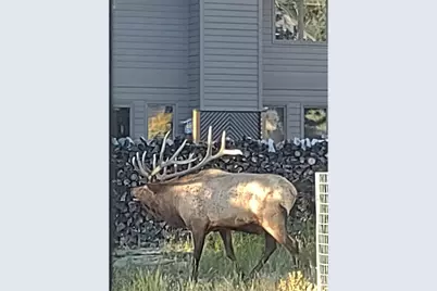895 Elk Meadow Ct, Estes Park, CO 80517 - Photo 41