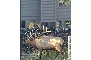 895 Elk Meadow Ct, Estes Park, CO 80517 - Photo 41