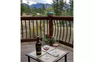 895 Elk Meadow Ct, Estes Park, CO 80517 - Photo 39