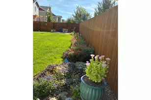 2656 Mustang Dr, Mead, CO 80542 - Photo 35