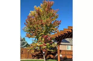 2656 Mustang Dr, Mead, CO 80542 - Photo 31