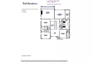 5563 Zadie Ave, Timnath, CO 80547 - Photo 3