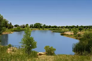 3184 Westcliff Dr, Loveland, CO 80538 - Photo 29