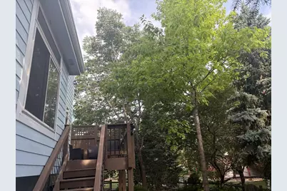 1107 Canvasback Dr, Fort Collins, CO 80525 - Photo 41