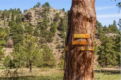 303 Green Pine Ct, Estes Park, CO 80517 - Photo 45