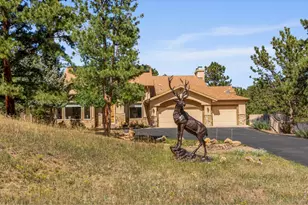 303 Green Pine Ct, Estes Park, CO 80517 - Photo 3