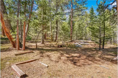 251 Haugen Slide Rd, Allenspark, CO 80510 - Photo 41