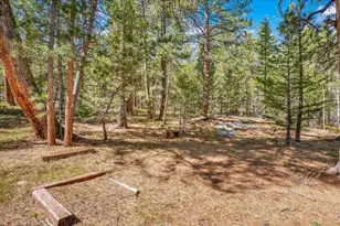 251 Haugen Slide Rd, Allenspark, CO 80510 - Photo 41