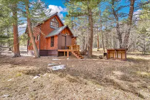 251 Haugen Slide Rd, Allenspark, CO 80510 - Photo 9
